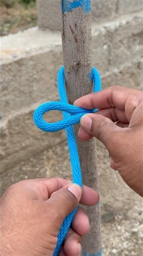 Best Slip Knot Around The Tree - For You !