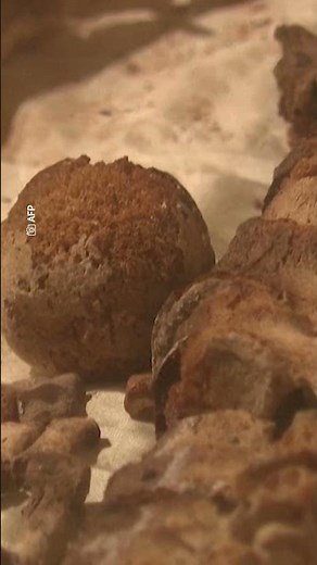 Italia exhibe los restos de San Francisco de Asís