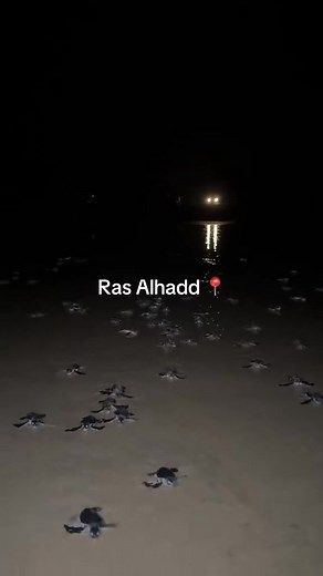 Ras al Hadd راس الحد 🇴🇲 | Sultanate Ôf Oman