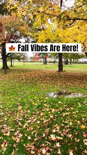 "Fall is Here! 🍂 Cozy Autumn Vibes #Shorts" #viralshorts #urbanglimpz