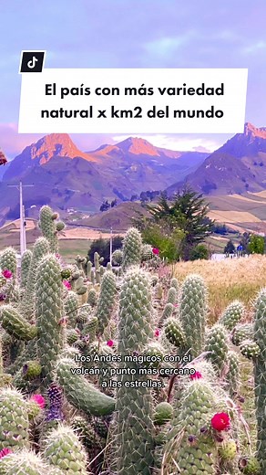 Comparte nuestro ECUADOR ♥️ El país con más variedad natural y el más megadiverso por km2 de todo el mundo. #ecuador #bucketlisttravel #islasgalapagos #quehacerenecuador #ecuador_turismo #turismo #turismoecuador #ecuadorcheck