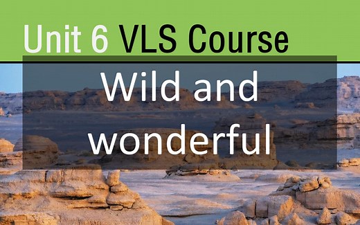 新视野大学英语（第四版）视听说1-Unit6 课程音频和视频汇编