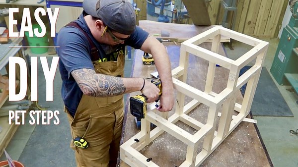 How I Built DIY Pet Steps That Earn Profit Fast