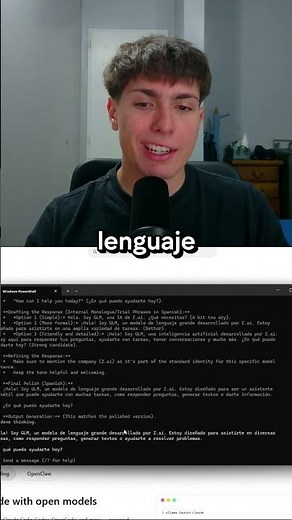 How to USE a LOCAL AI Model?