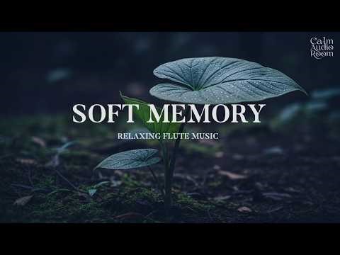 Comforting Flute Music to Calm Your Heart Tonight 🌌 Deep Sleep & Soft Relaxation 😴💤