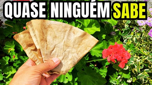 Depois de Ver Isso, Você Nunca Mais Vai Jogar Filtros de Café Fora