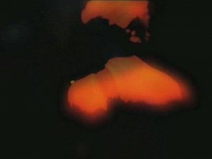 65daysofstatic - AOD