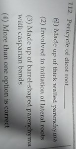 112. Pericycle of dicot root (-1) Made up of thick walled pare... | Filo