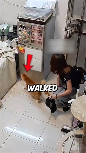 This Cat Was Hiding the Cutest Surprise😍 #shorts