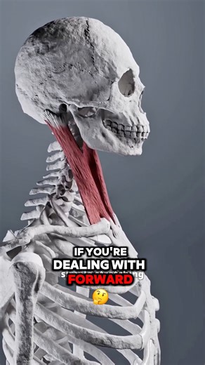 1.7M views · 19K reactions | Forward head posture? It’s not just your neck — it starts at your hips. If your foundation is off, your head shifts forward to compensate. Fix it from the ground up:  Heel Drop to stack the joints  Wall Sit Reset to realign the spine Start at the base, and your head will follow. Link in bio for the full routine. ✅ | PostureStrong | Facebook