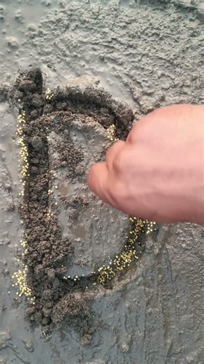 SeedMasterMagic 🌱Seeds tho “D” letter design chesi #farming #nuture #youtubeshorts #minifut #car