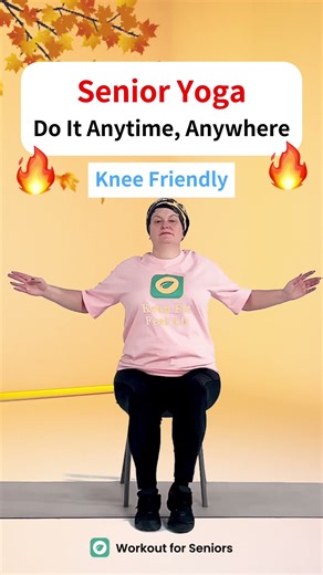 Easy Seated Exercises at Home