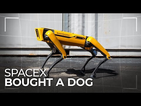 Why SpaceX Bought a Robotic Dog