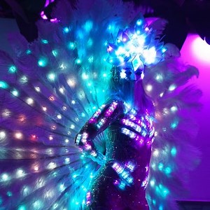 LED and Fire Hoops, Fans, and More