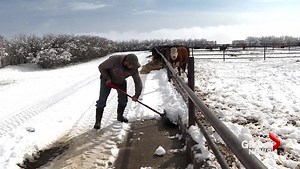 Calgary’s spring snow a blessing to some