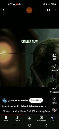 absolutamente cinema