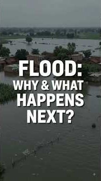 Flood Aata Kaise Hai? Food Par Kya Effect Hota Hai? #flood #nepalflood #shorts #food #climatechange
