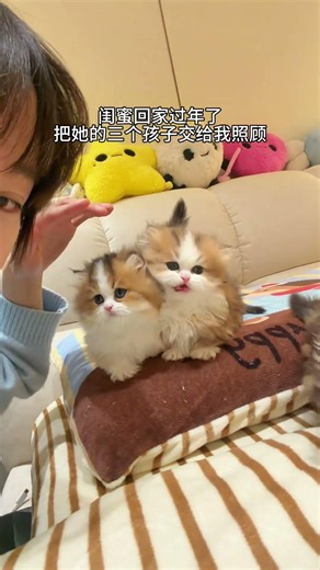 This is my first time taking care of a child and I have no experience! What should I do?! #cat #pets