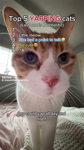Top 5 YAPPING cats 🤣 #cat #yapping #catvideos