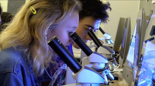 Admissions - Private School in Manhattan | Calhoun School