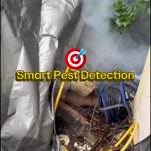 Smart Pest Detection allows us to track hidden pest entry points not visible to the naked eye—without disruption 👀 Using our specialist non-toxic detection process, we identify airflow, voids, and pest pathways, helping us treat the source, not just the symptoms ✅ Our Smart Pest Detection procedure reveals cracks, gaps, and concealed access points that would otherwise go unnoticed. That level of visibility is exactly why No Survivors is a market leader in precision pest control. We don’t guess—