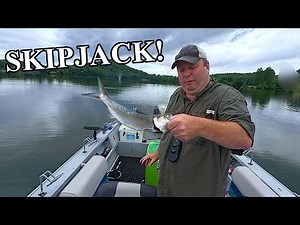 Skipjacks and Sunfish (Fishing for Catfish Bait)