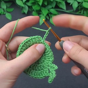 16K views · 101 reactions | Wonderful frog crochet keychain  | Fashion World | Facebook