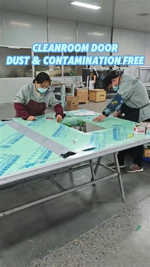 Cleanroom Door ： Dust & Contamination Free#cleanroomdoors#cleanroomdoor#hospitalsettings#manufacturing#buildingmaterials