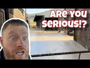 FARM CAT RUINS OUR PERFECT CONCRETE!