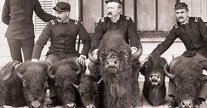 Why the US Army tried to exterminate the bison