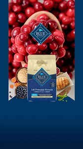 Not all brands are created equal. Blue Buffalo puts the focus on ingredients to help dogs thrive. | Blue Buffalo