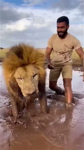 This Man Risked Everything to Save a Lion 🦁💪
