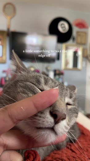 Cuddling with My Cat: Adorable Moments Captured