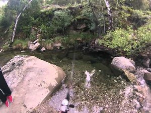 Trout fishing the nacimiento river
