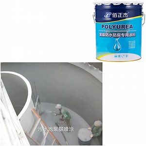 [Hot Item] Hybrid Polyurea Anticorrosion Waterproof Coating for Fish Pond Runway