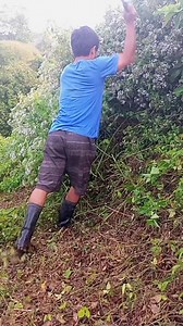 3.2M views · 10K reactions | Opisina nasad ta mga idol Sayu jud para walay init #followersviewers #facebookreelsviral | Victor Paran | Facebook