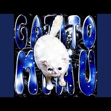 AUTOMOTIVO HARD AY MI GATITO MIAU MIAU (Super Slowed)