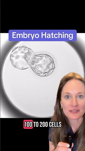 Did you know embryos hatch? 🐣