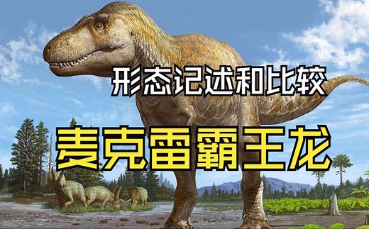雷克斯的叔叔——麦克雷霸王龙（Tyrannosaurus mcraeensis）形态学记述和比较