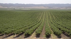 62 reactions · 11 shares | Grab life by the moments and enjoy wine tasting in the Salinas Valley. | See Monterey | Facebook