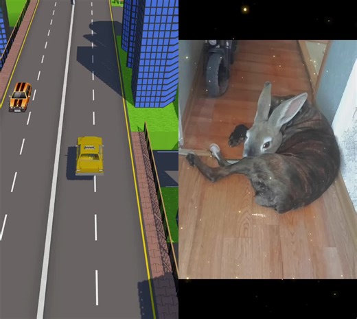 #дуэт с @neussirius #madtaxi Link to the game in the profile header