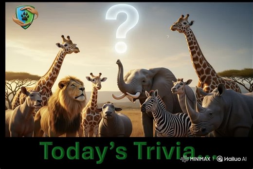 🎉 Rise and Shine, Trivia Fans! 🌤️ Start your day smarter with our Daily Animal Trivia Challenge! 🔽 We're kicking off the conversation by testing your knowledge of creatures great and small. Ready to prove you're the ultimate animal expert? Comment your answer below (A, B, or C)! ---------- How many hours a day does an adult house cat sleep on average? A. 8-10 hours B. 12-16 hours C. 18-20 hours #PACT_Trivia