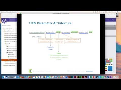 UTM Parameters in Marketo