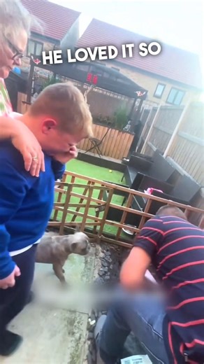 594K views · 3.4K reactions | They Buried His Beloved Tortoise In The Garden 梁 | Cute Things | Facebook