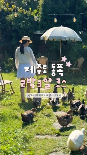 제주도 2박3일 동쪽 여행코스🐴 #jeju #제주도 #제주여행