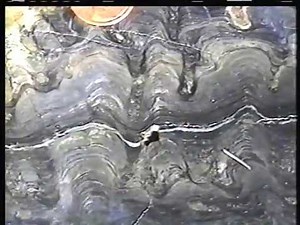 Stromatolites, part 2, different types
