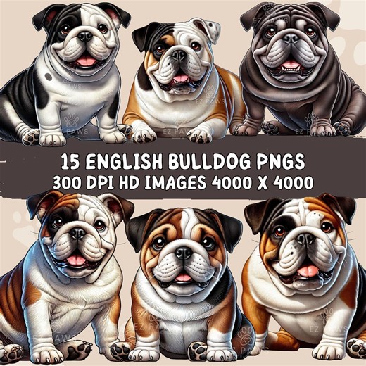 English Bulldog Clipart, 15 PNG Dog Illustrations (commercial Use) - Etsy