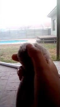 beach ball Tantrum (2021)