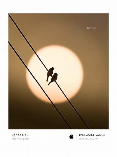 Red Photography: Stunning Nature Shots Captured