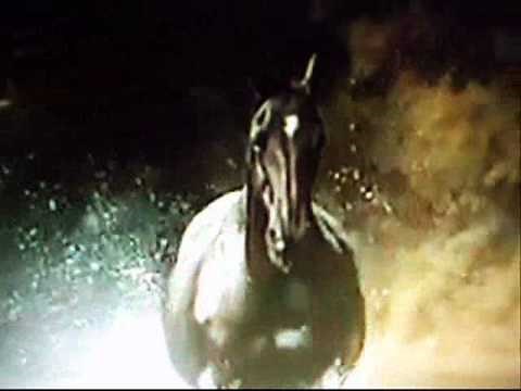 BLACK BEAUTY THEME SONG TRIBUTE (Galloping Home)